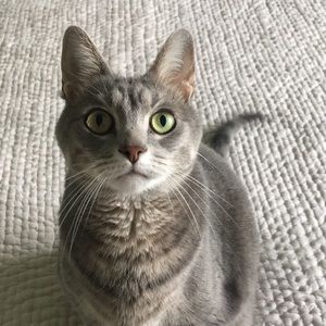 Meet your Posher, Lisa